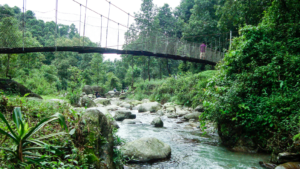 offbeat tour and travel agency of Kalimpong