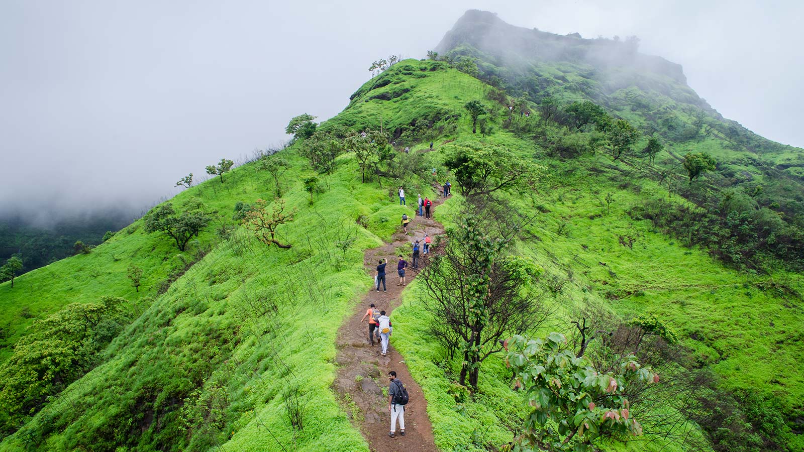 Embark on a thrilling adventure with the best trekking tour packages in West Bengal