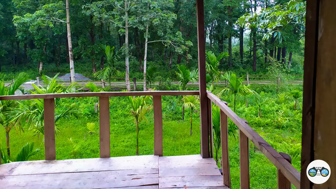 Eco-Tourism at Its Best: Sustainable Practices at Kodalbasti Homestay